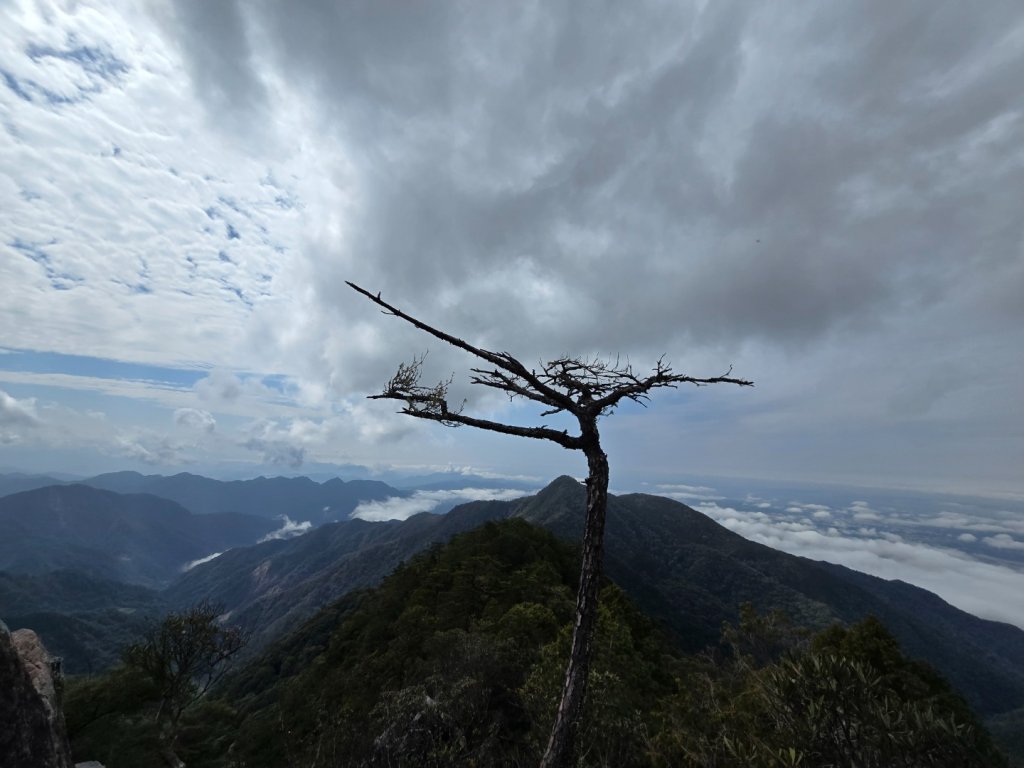 鳶嘴山+稍來神木_2709856