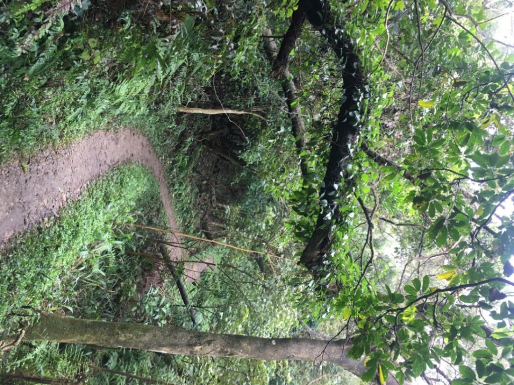 五酒桶山、南崁山_2693342