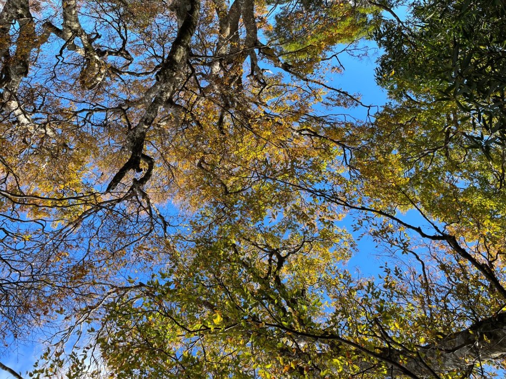 20221112_北得拉曼山_2762251