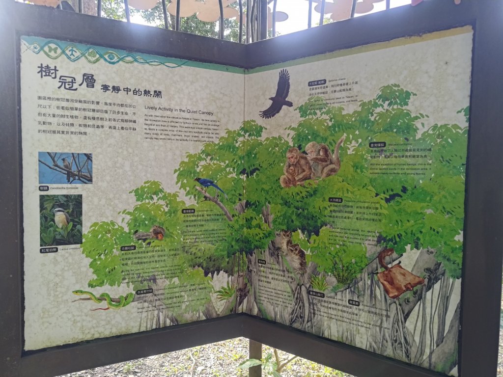 雙流森林遊樂區婆豬古山連走雙流瀑布帽子山_2652773