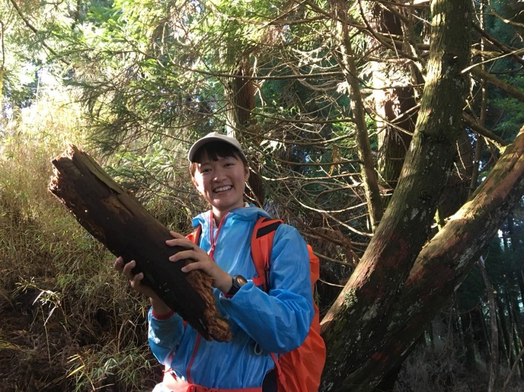 雨中煎牛排登西巒大山_669767