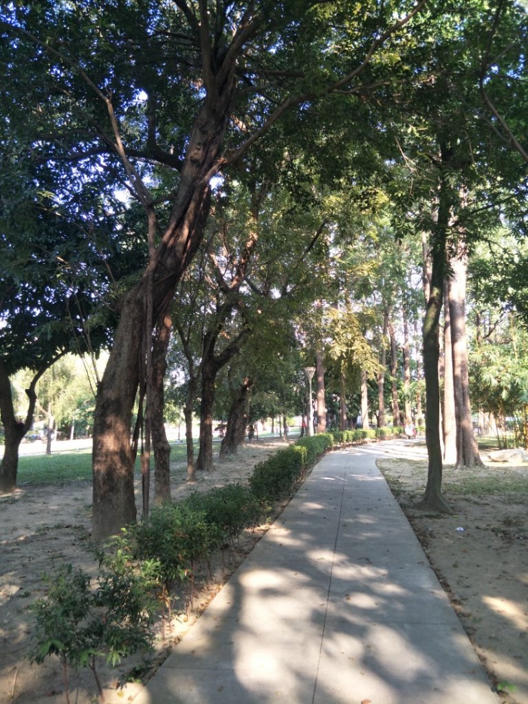南山神壽任務-大東濕地公園步道_1518189