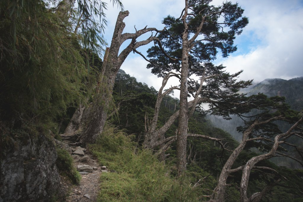 玉山北峰-雲海季開跑囉_691728