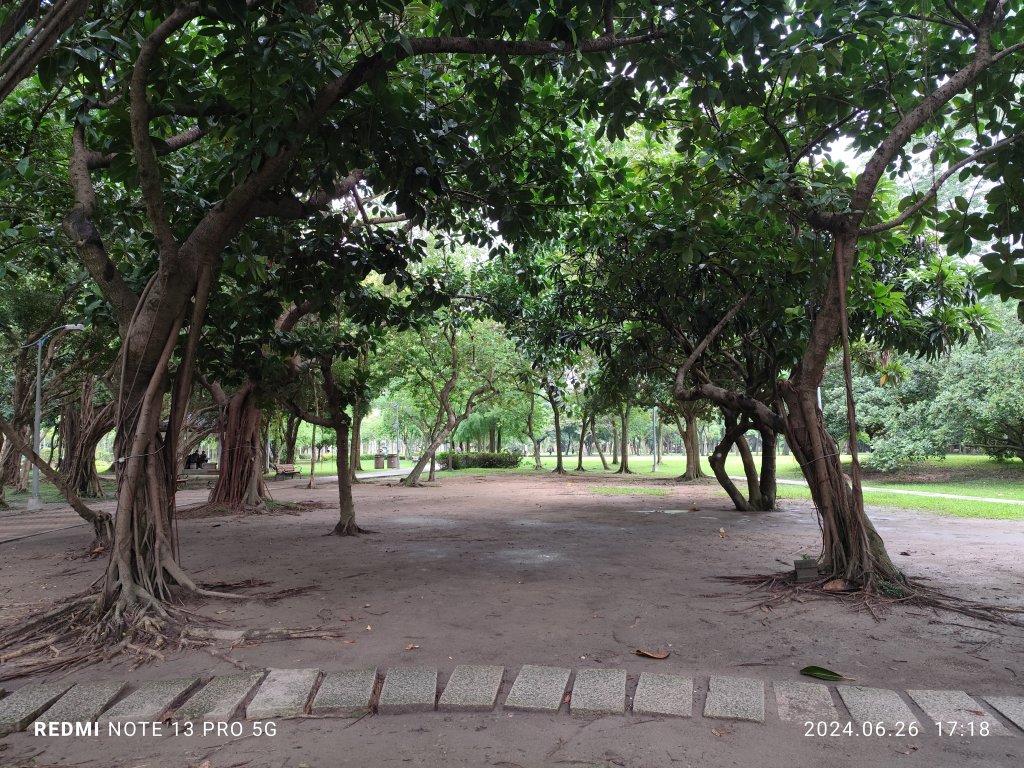 大安森林公園【走路趣尋寶】【臺北健走趣】_2536306