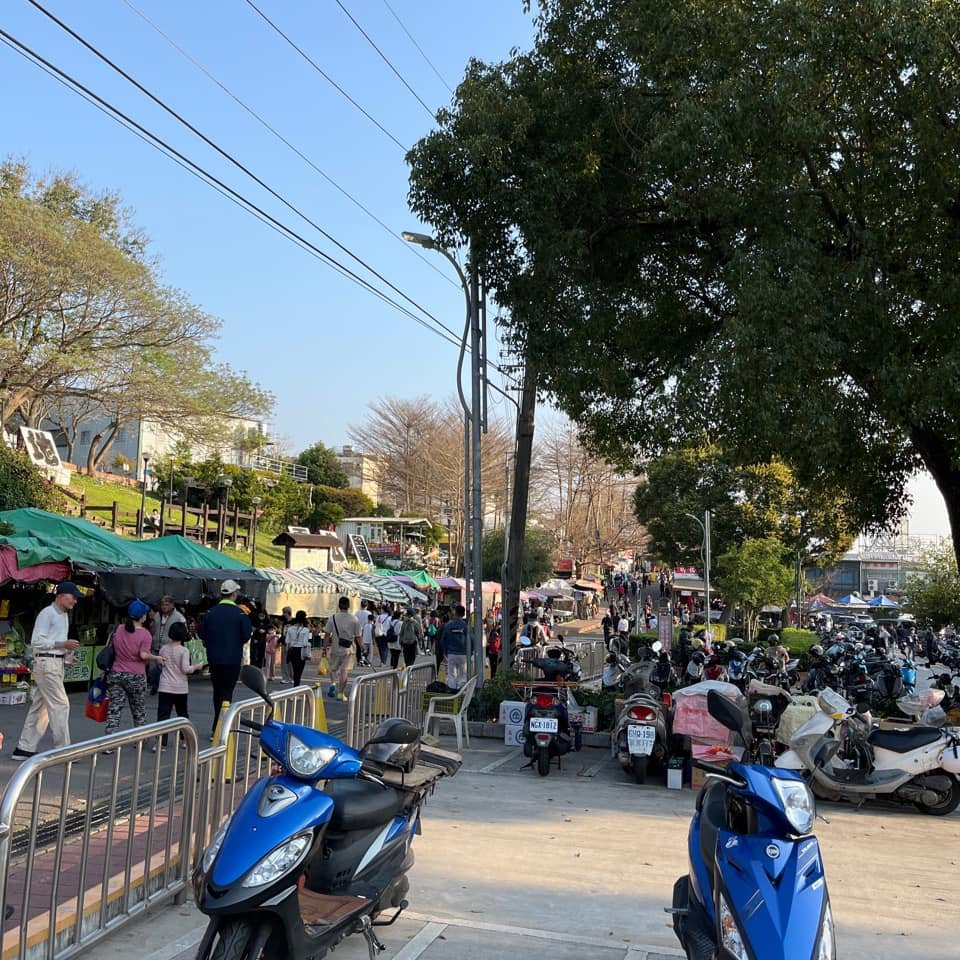 大坑9-1號步道封面圖