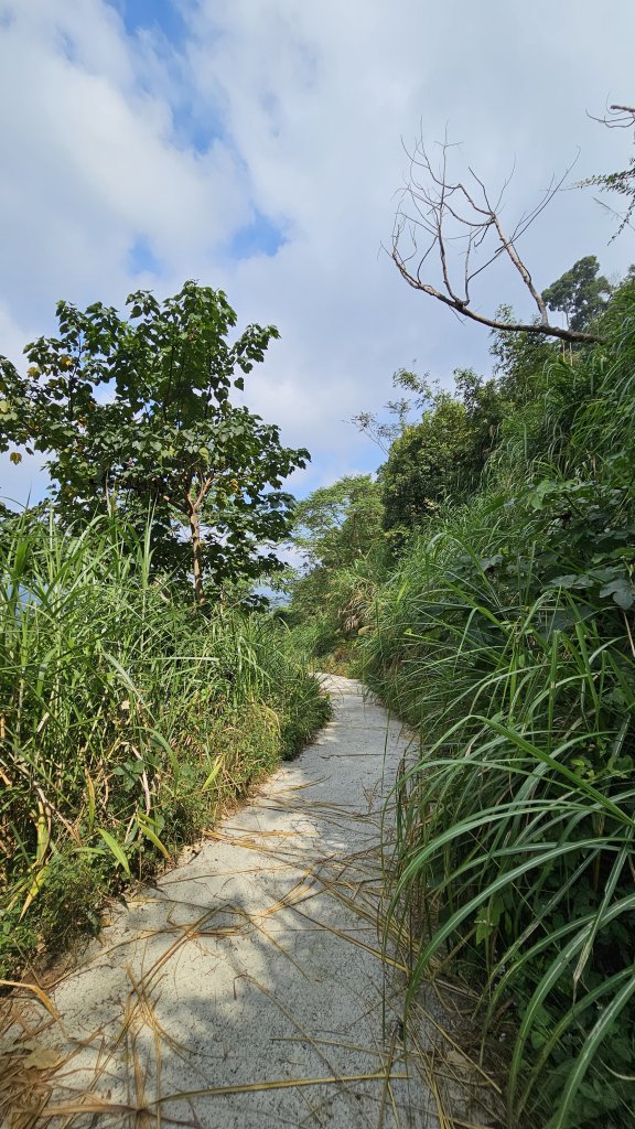 【稜線瘦如刀鋒，山形橫亙如屏風】解鎖第55座小百岳 #045 大橫屏山_2932889