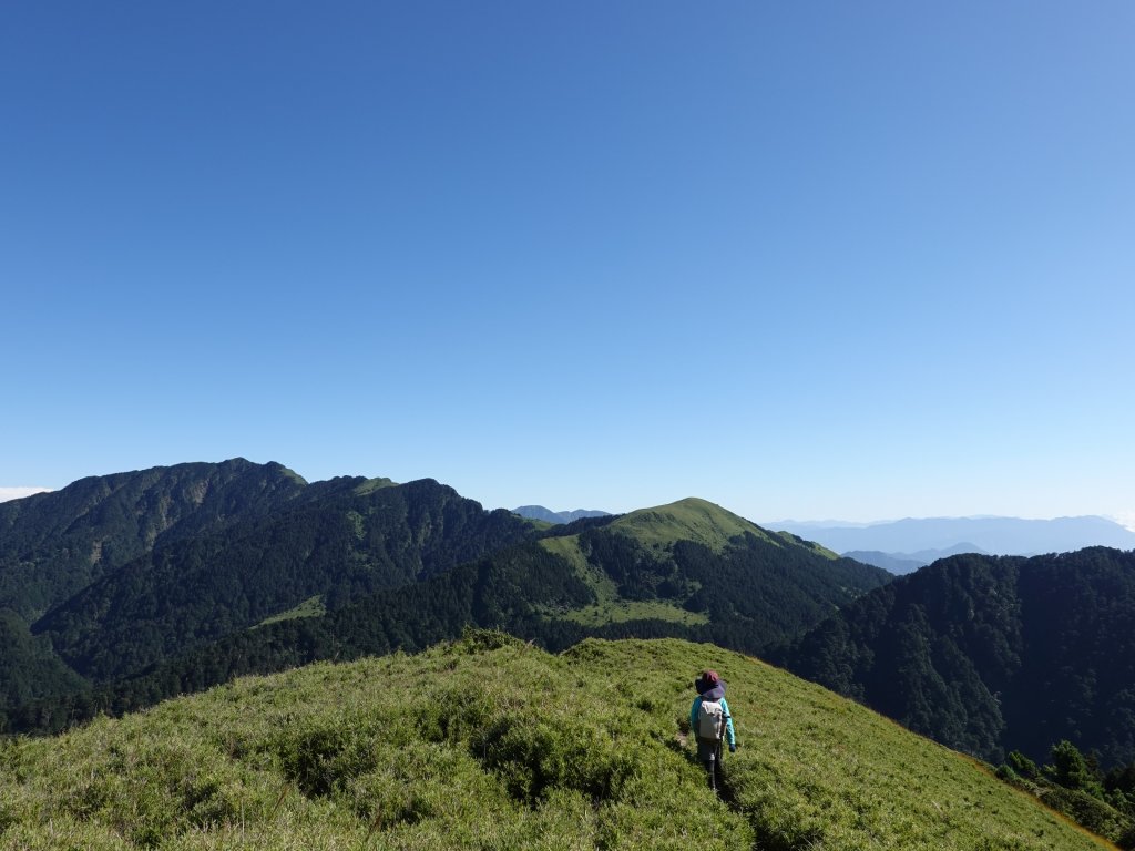 阿興阿賢合歡溪步道上合歡西峰_1491234