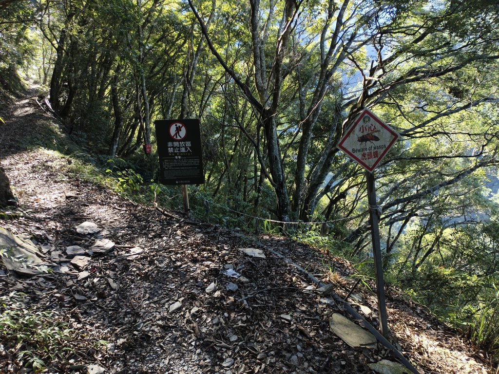 [玉山尋寶任務-07/12] 2025_0824 八通關雲龍瀑布步道_2870557