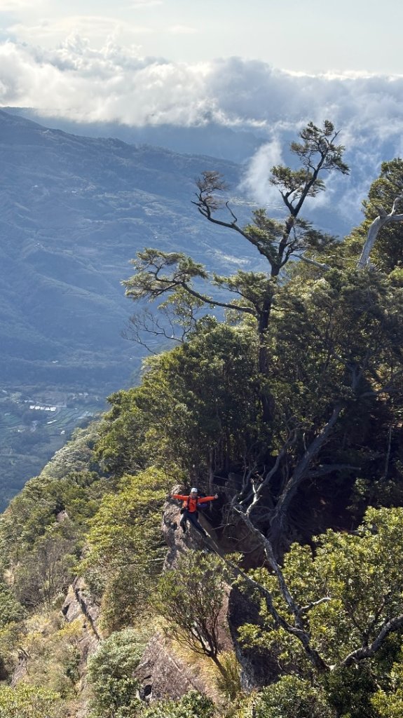 山毛櫸的「最後一舞」_2955388