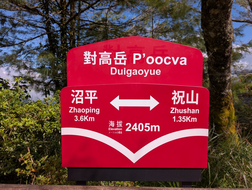 二訪阿里山國家森林遊樂區之大塔山對高岳之旅封面圖