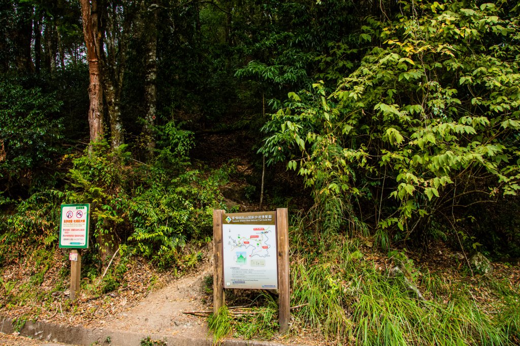 稍來山楓葉林_2960863