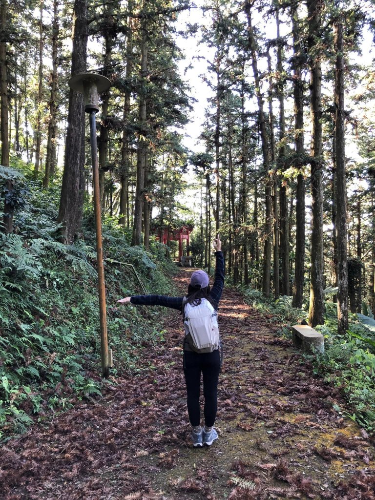 20221218苗栗鳴鳳古道_2113525