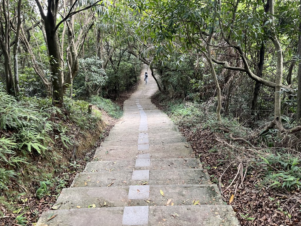 [山頂鳥40周年會員大縱走-14/15] 2024_0804 劍潭山親山步道_2566166