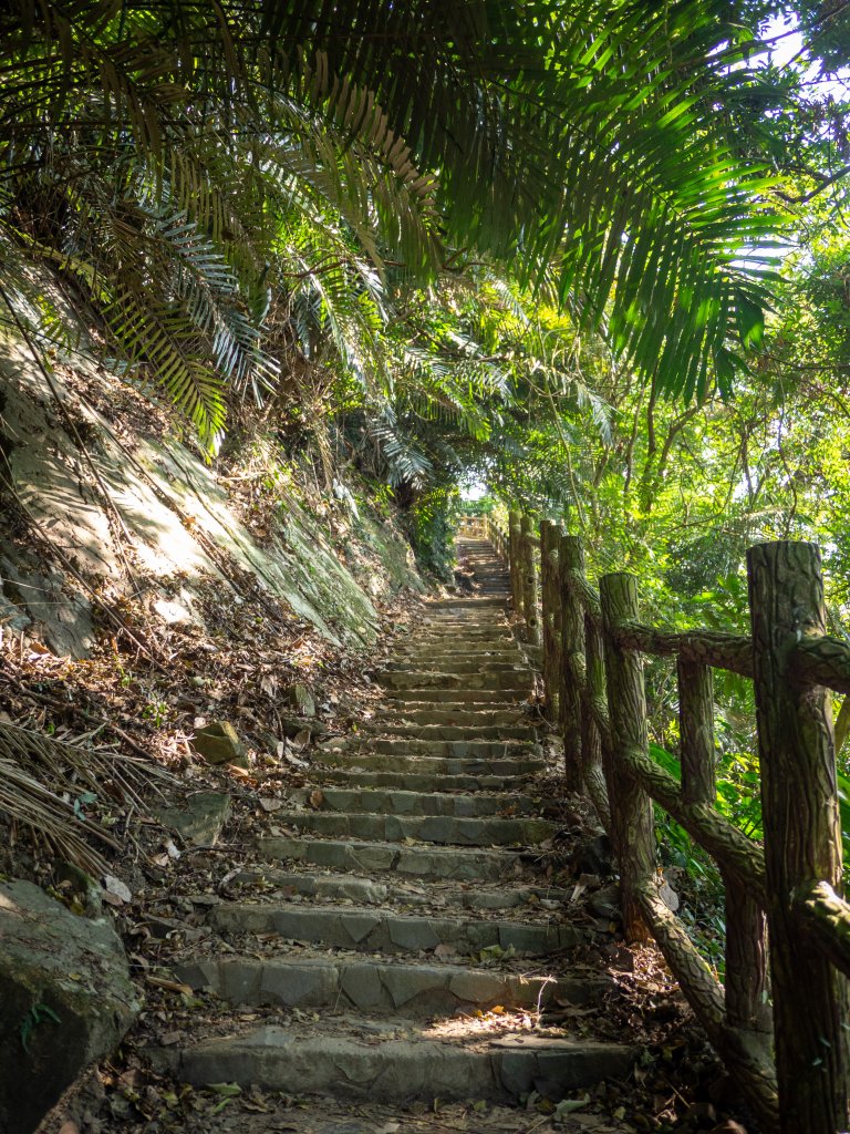 獨立山步道_2961181