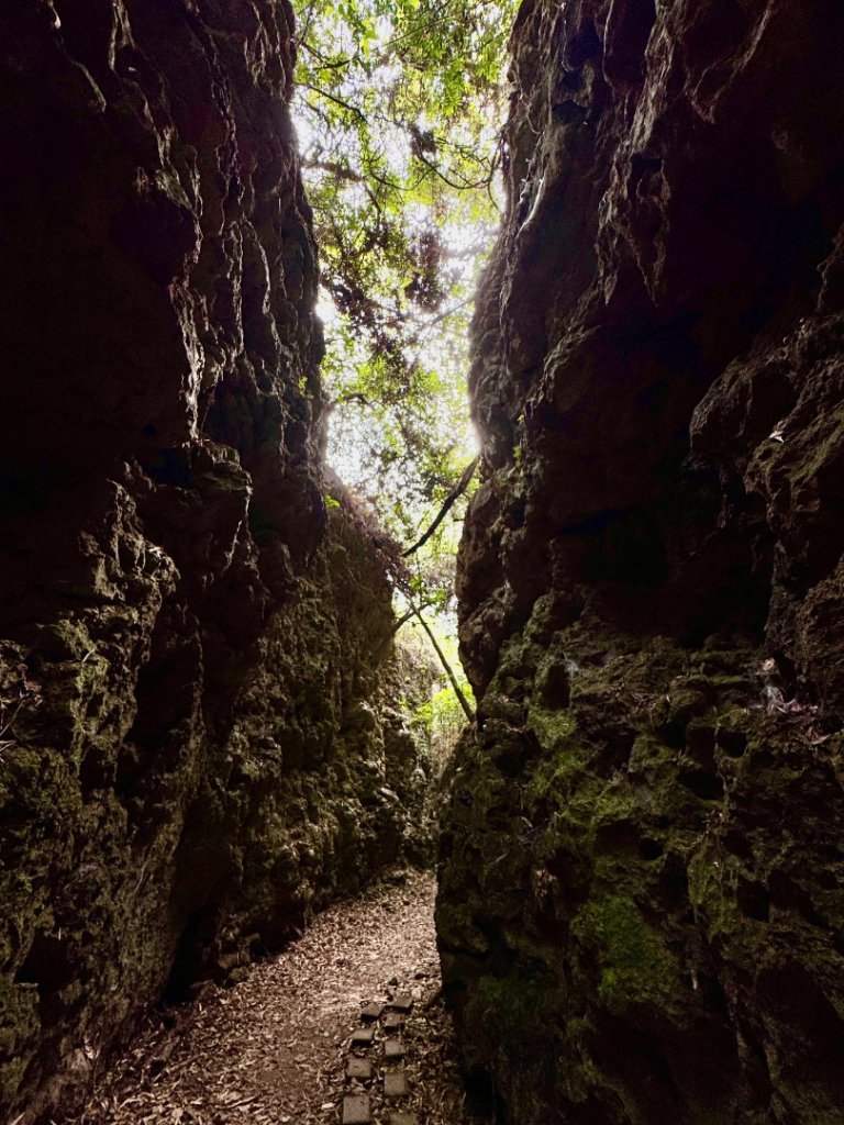 大崗山(小百岳#74)龍盤峽谷一線天_2764654