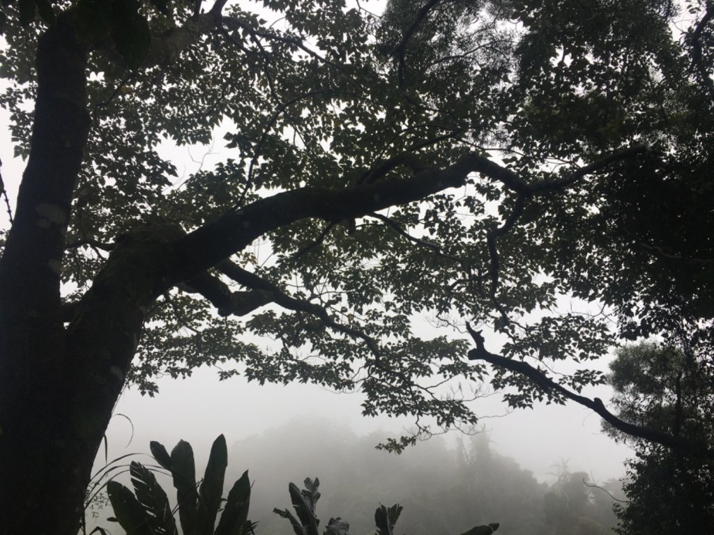 38溪洲山_2729726