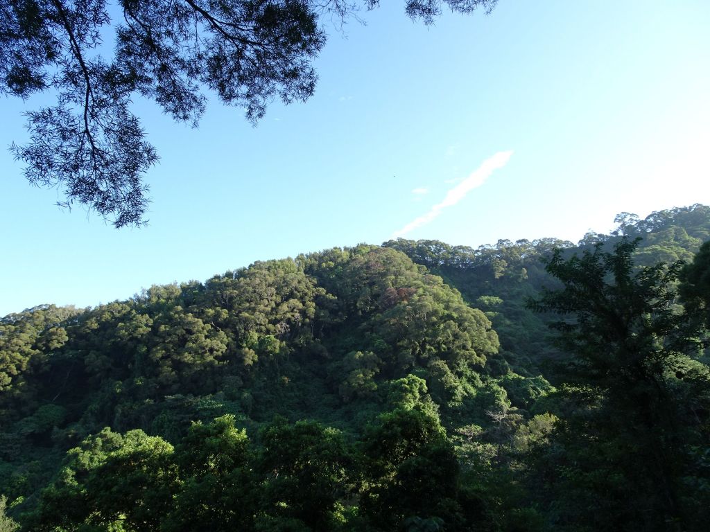 彰化南投-田中登山步道~茶香步道受天宮_182923