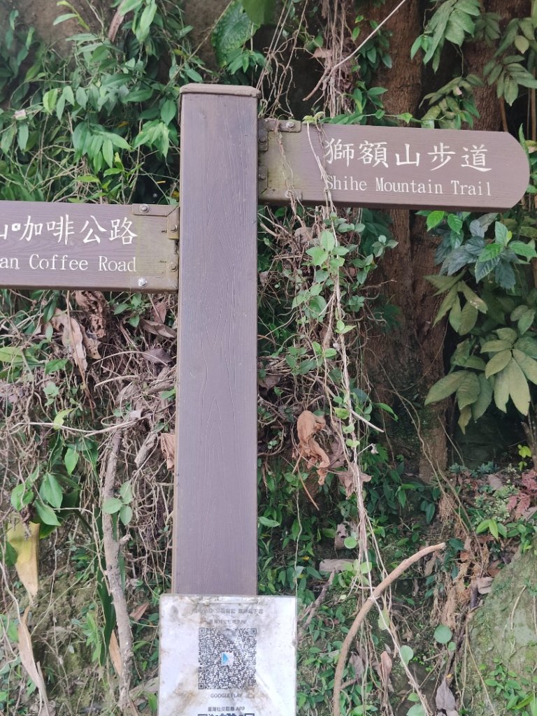 #64小百岳崁頭山、獅額山_2528550