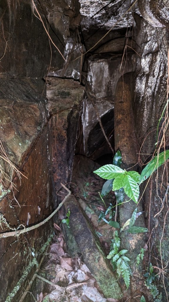 113.06.16白沙丘山-舊草嶺隧道-隆嶺古道之旅_2530565