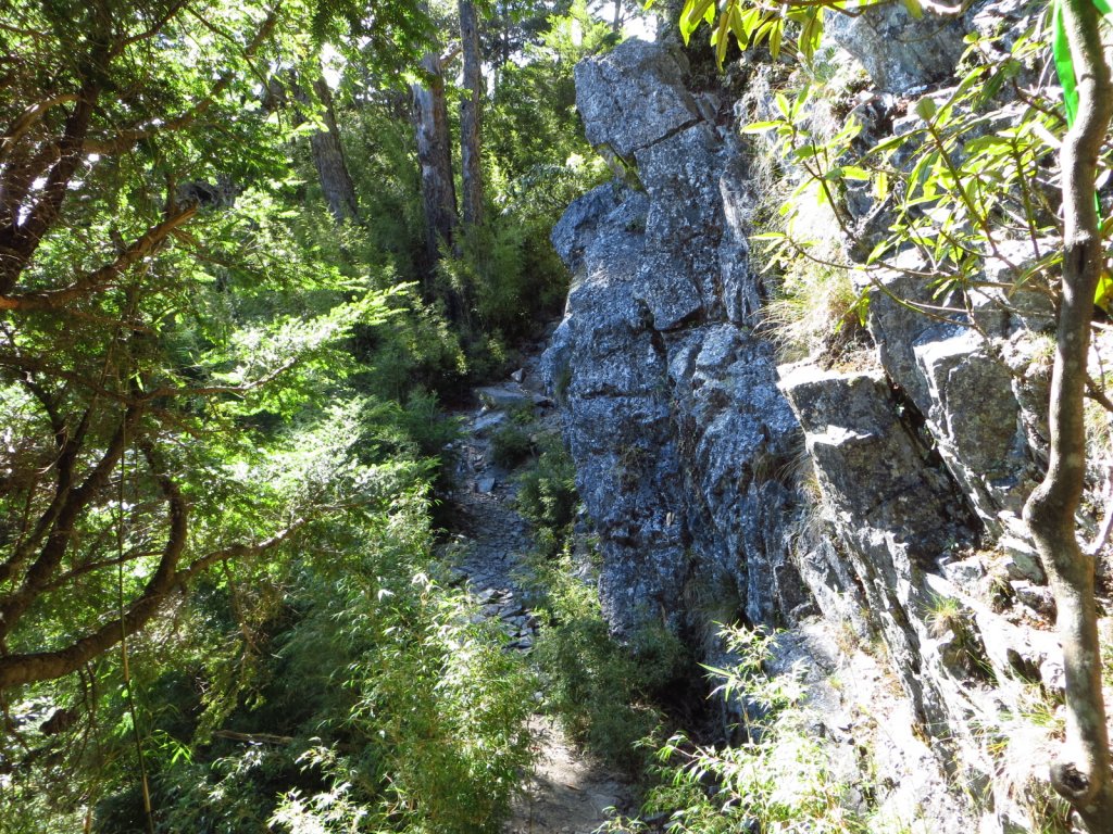 武陵四秀(2015四缺喀_2019喀桃)_689515