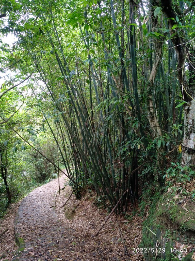 虎豹潭步道連走古道封面圖