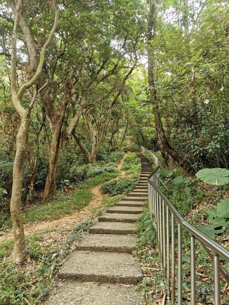 田中森林登山步道-依山稜線而建且景觀良好_1048127