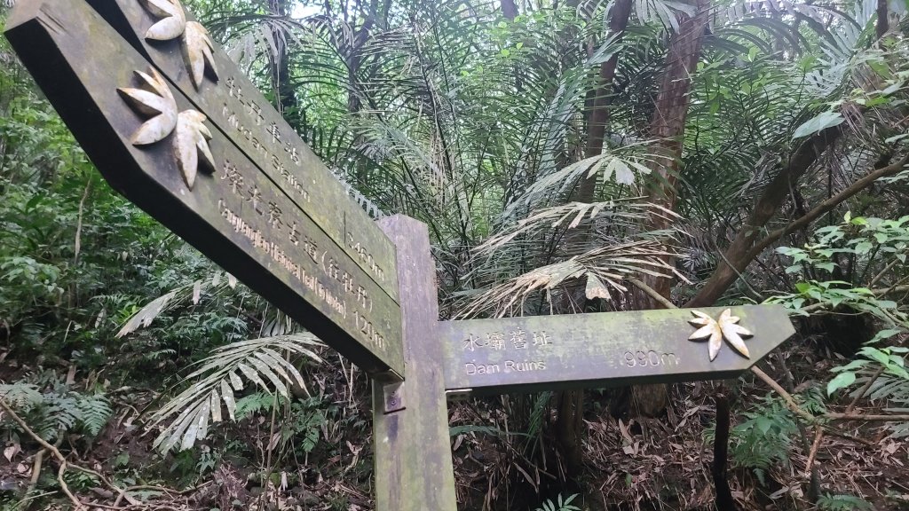 2025-01232淡蘭古道北二段(燦光寮古道到澳底)_2696558