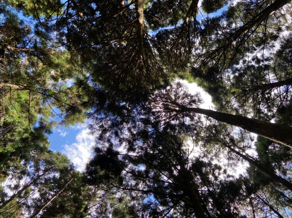 登山野營兩相宜~高島縱走_1488911