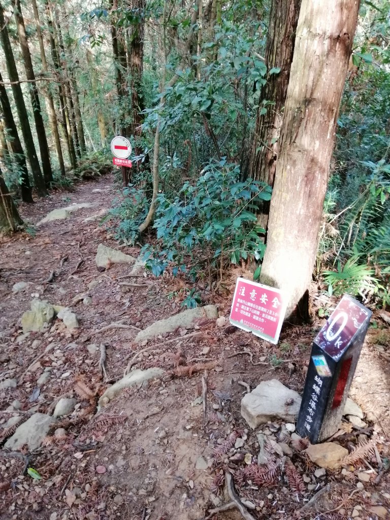 【台中。和平】谷關七雄入門款。 唐麻丹山_874538