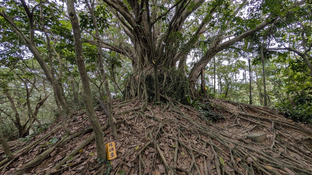114.12.20劉銘傳隧道-獅球嶺北峰-獅球嶺東砲台山-獅球嶺池-獅球嶺砲台山之旅_2966725