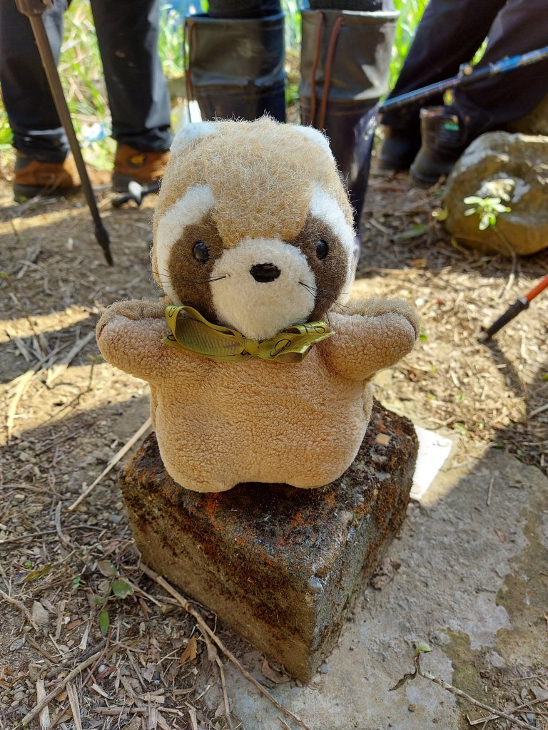 1100102樟之細路：龍潭-關西_1232316