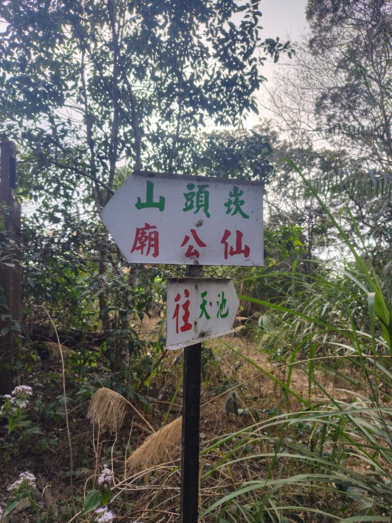 獅嶺峭壁_2987403