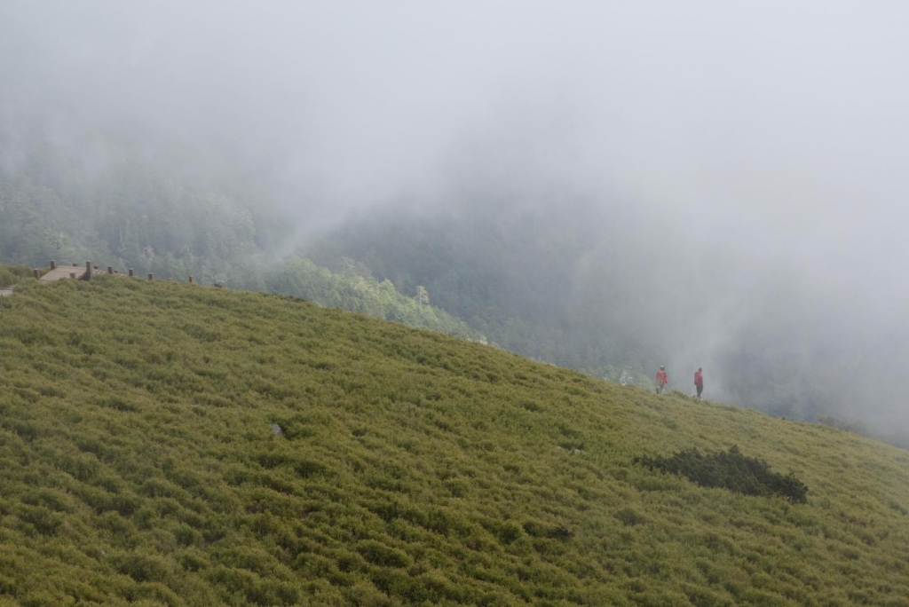 合歡群峰行_23522