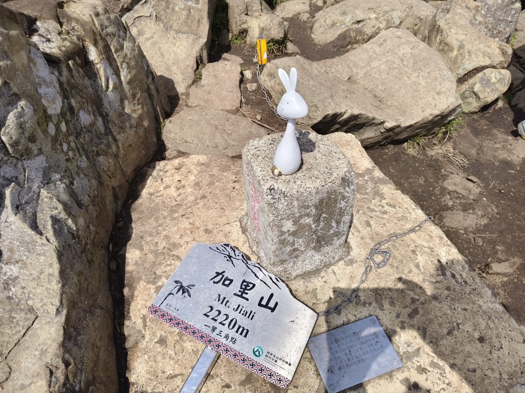 2025/04/04_加里山登山步道_2755044