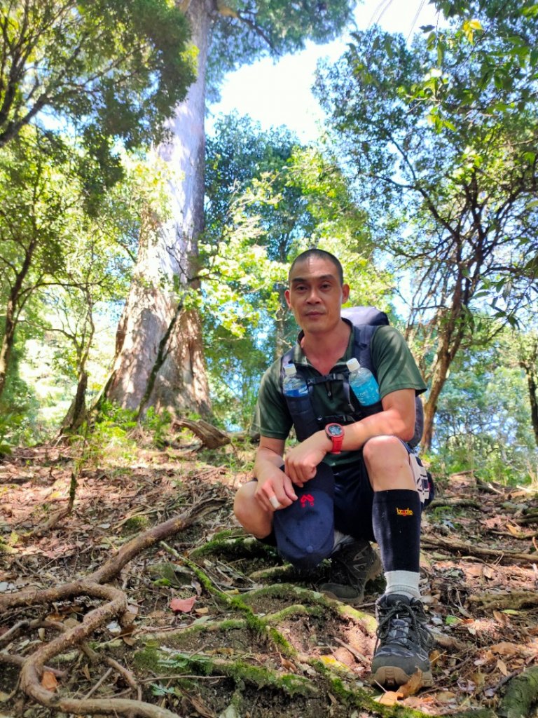 西巒大山．郡大山．治茆山_1485299