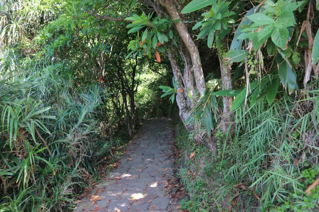 龜山島。毛柿公 龜尾湖 龜卵步道 四0一高地  普陀巖 牛奶海 坑道 礫灘 國民學校  烏龜怪方蟹_2256406