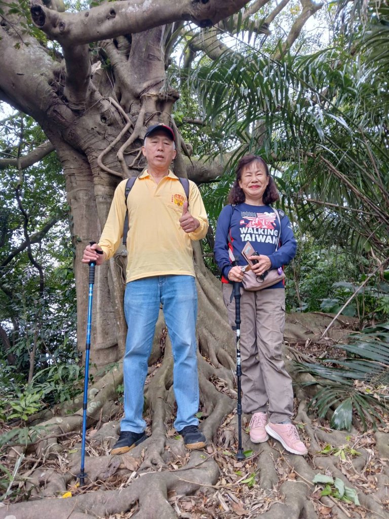 【臺北大縱走 6】中華科大→九五峰→南港山→拇指山→妙高臺→糶米古道→忠正嶺安祿宮→世界山莊→軍功山_2662722