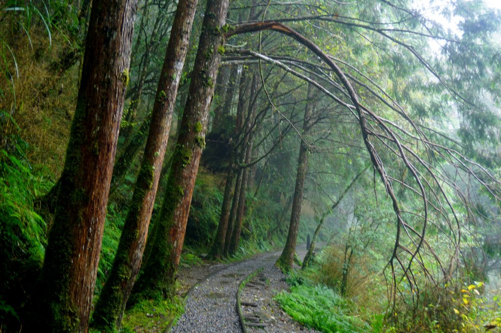 見晴懷古步道_452268