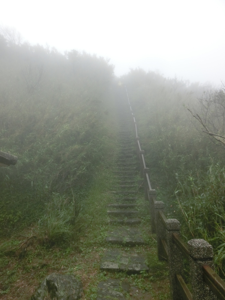 小油坑．中湖．夢幻湖．七星公園．冷水坑_95051