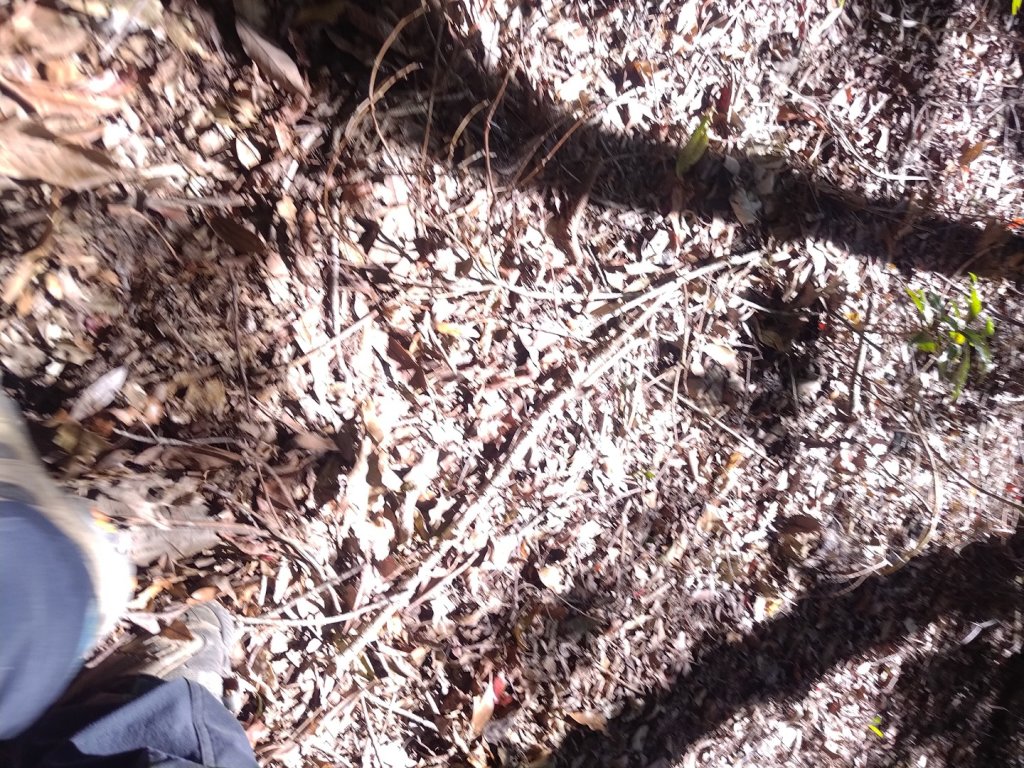 幾阿佐名山_2664536