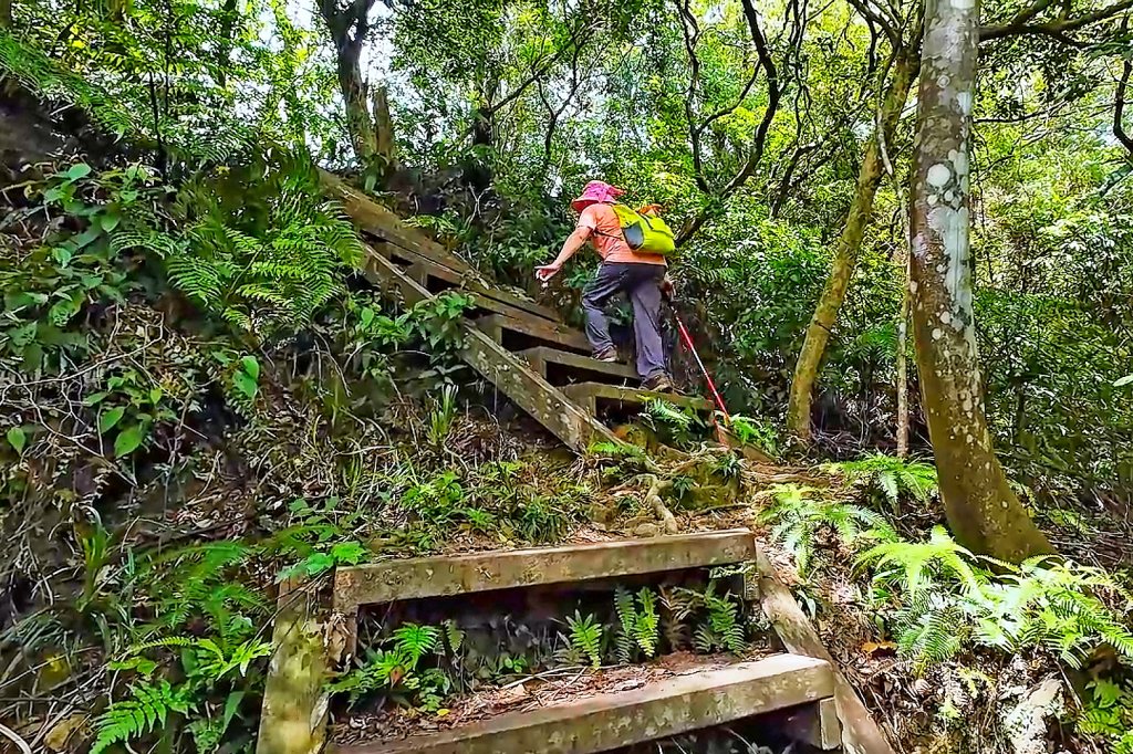 淡蘭古道中路百年山徑~暖東峽谷大環步道_2846406