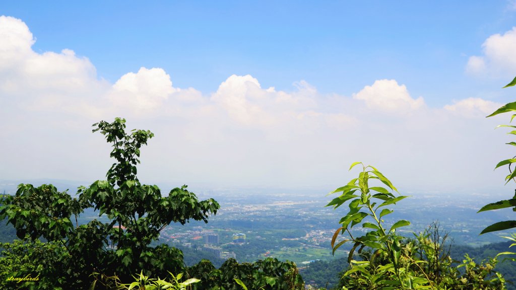 小百岳寶石任務～石牛山Ｏ型走_994649