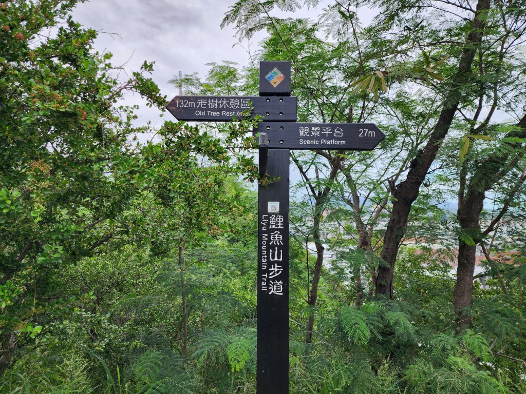 台東｜鯉魚山_2638597