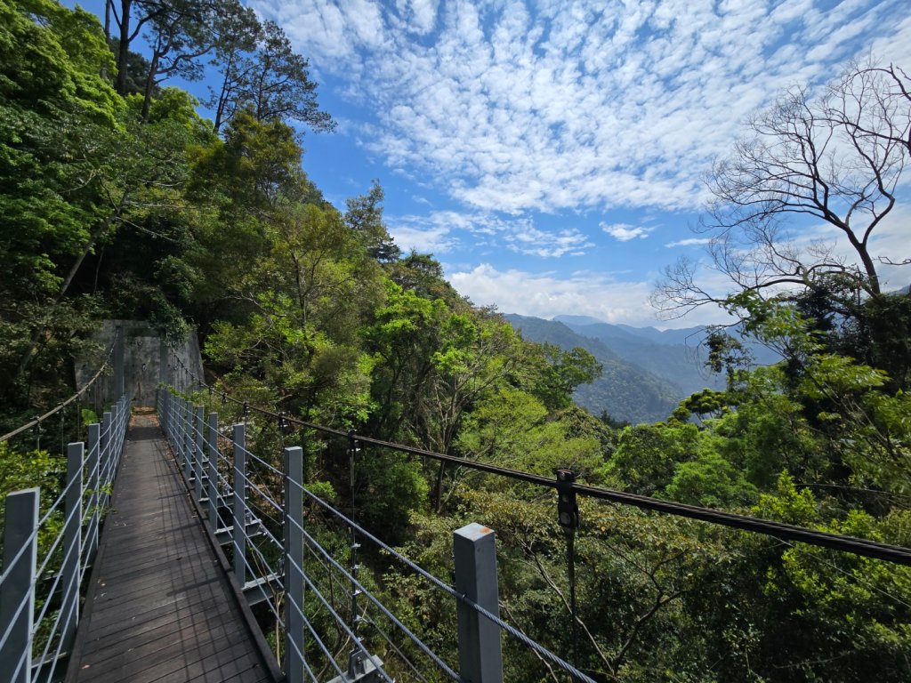 谷關松鶴橋對面的德芙蘭生態步道順登東卯山西南峰_2748305