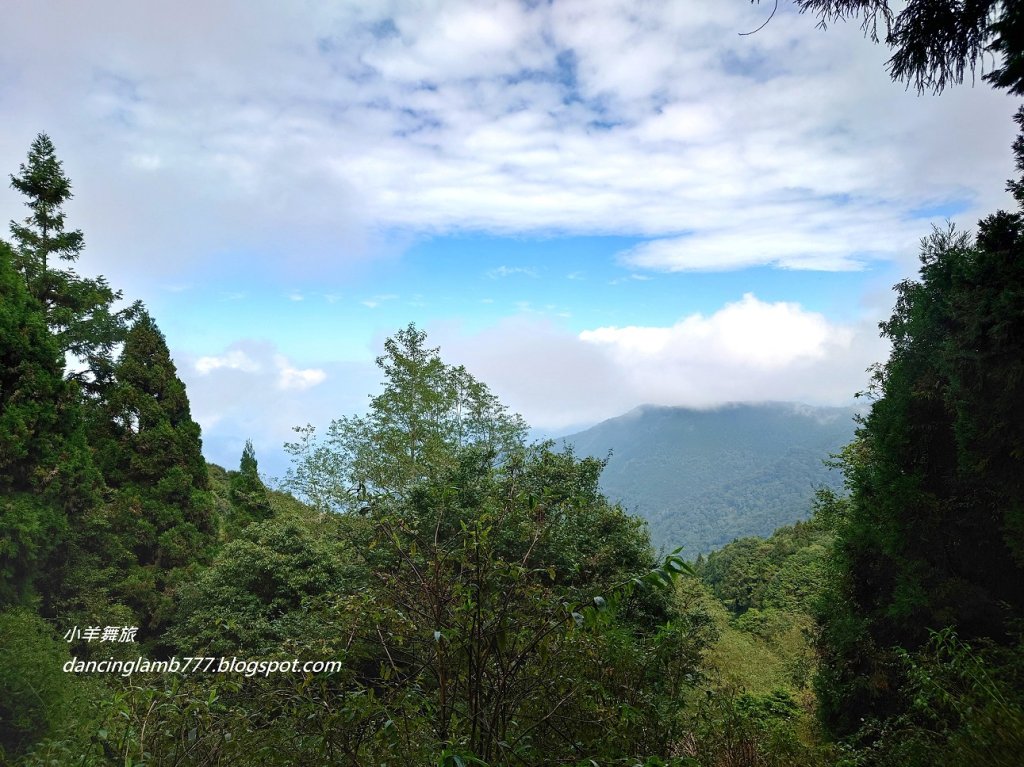 【新竹】觀霧森林遊樂區：檜山巨木群步道_2397410