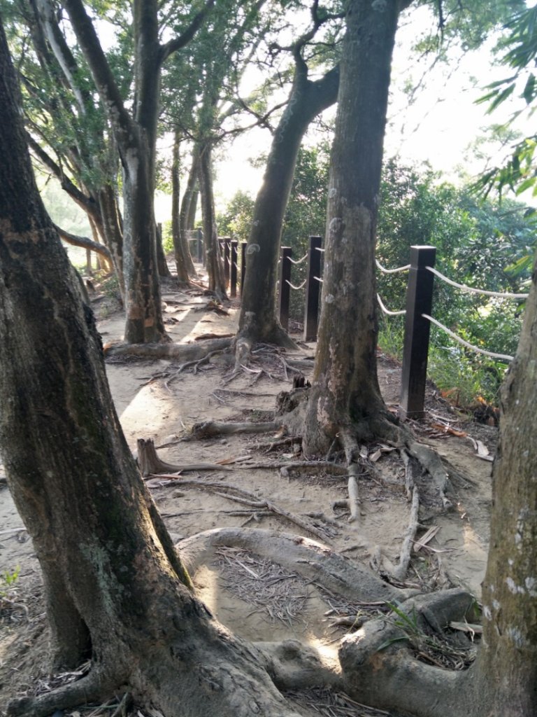 台中大坑10號登山步道_777419