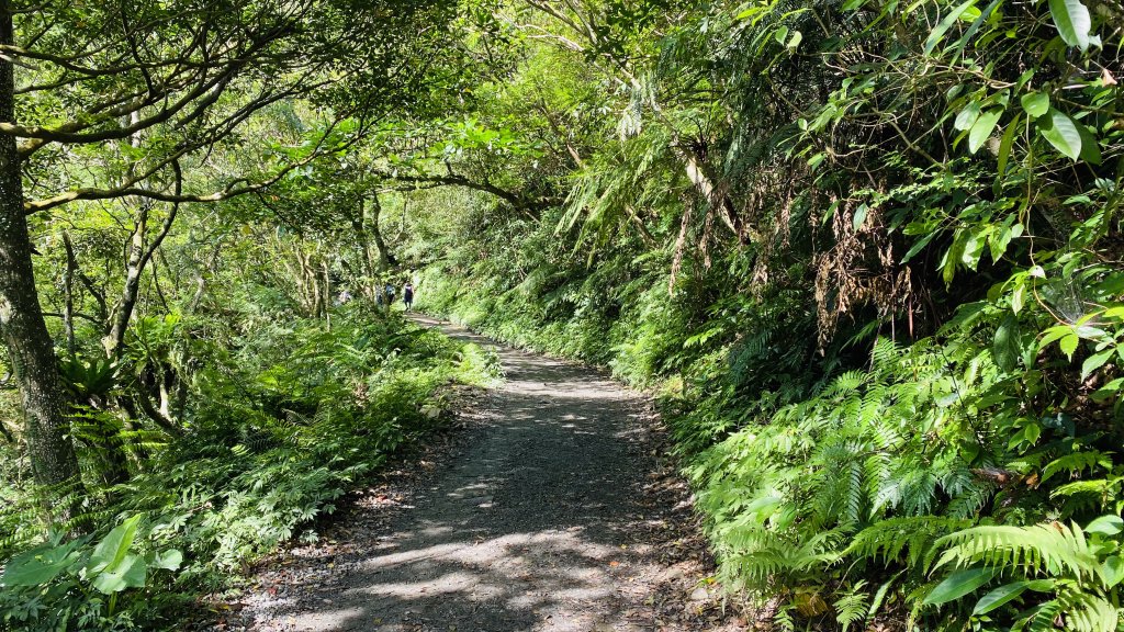 [宜蘭]聖母山莊步道|抹茶山|避開人潮~包場抹茶山、看到金黃抹茶夕陽、蘭陽百萬夜景晨曦薄霧仙氣早餐_1474842