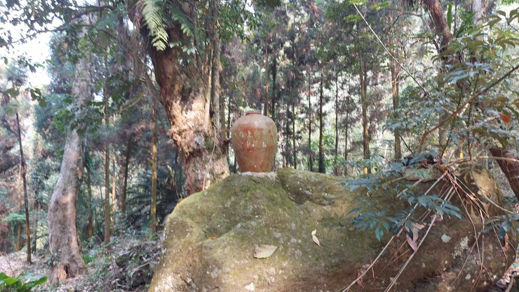 大克山北登山口森林遊樂區起登_1332888