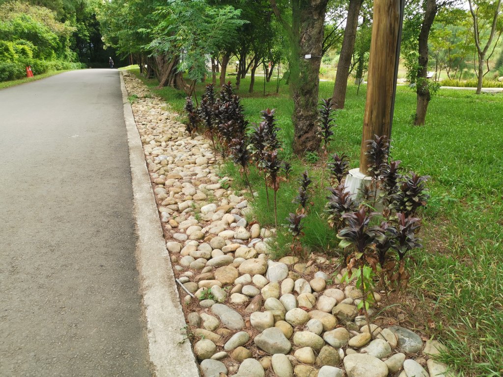 暑之大湳森林公園_2859590