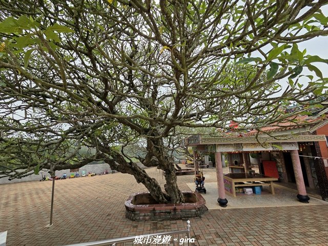 【台中龍井/大肚】竹坑南寮登山步道x瑞井登山步道O繞_3031265